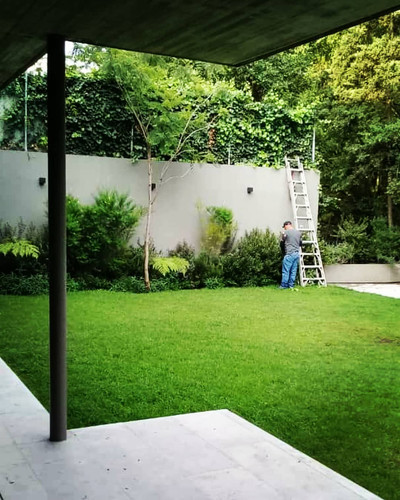 233026395 198073492208435 7641964035226382497 n.jpg