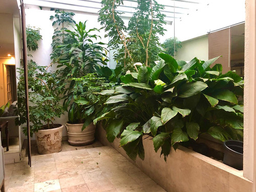 232421642 1001485477330506 2946890519735798355 n.jpg