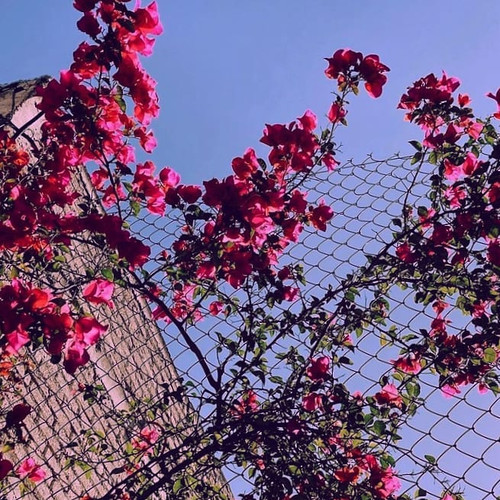 248023311 446507943507445 4864046538482702232 n.jpg