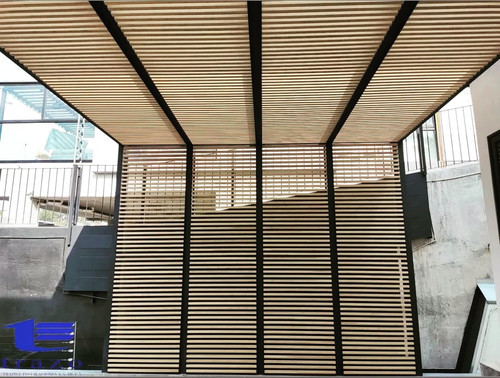 258027033 423557976166473 1376859310160647196 n.jpg