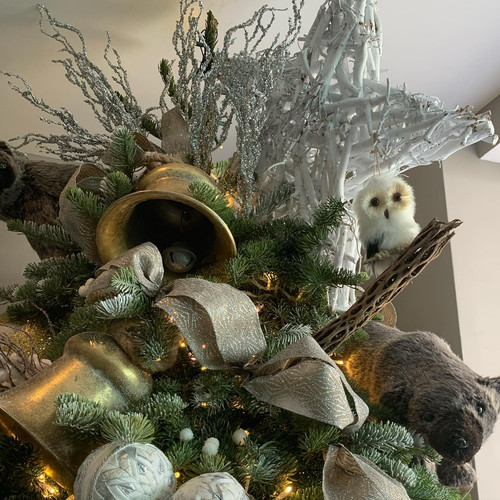 259398668 225333289674185 9013710824842695791 n.jpg