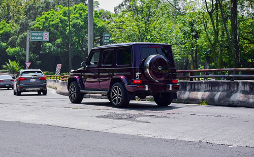 226368049 2560259347613981 4248054366745637018 n.jpg