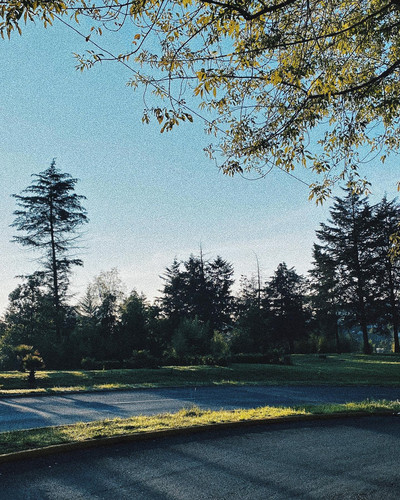 225043790 567052281330565 7011415224893690602 n.jpg