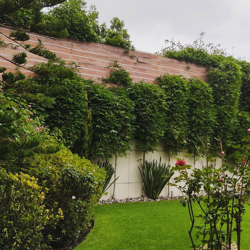 225047974 4533987533287799 8475625234018027970 n.jpg