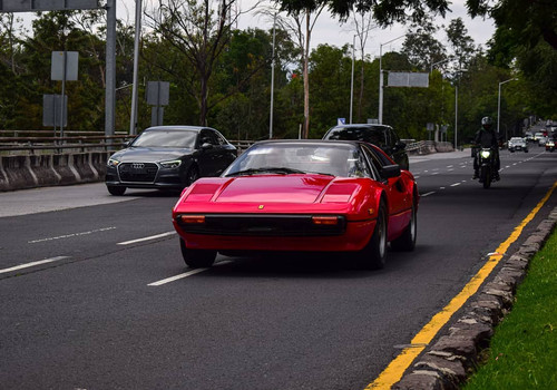 239478107 1191328107946831 1622443055852995426 n.jpg