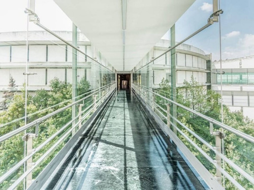 267791258 1125694674839672 992742642967986033 n.jpg