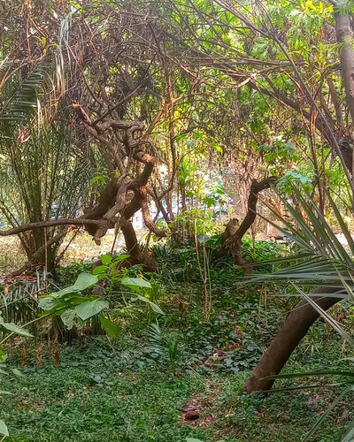 272077043 486671116404066 4909463429198421511 n.jpg