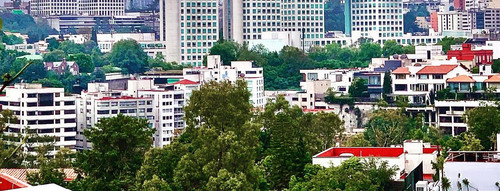 210410249 200125225366739 472724453036836997 n (2).jpg