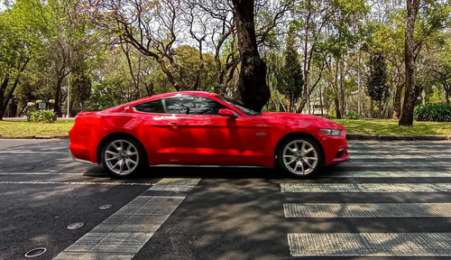 203020965 523331518724252 9017124546705604998 n.jpg