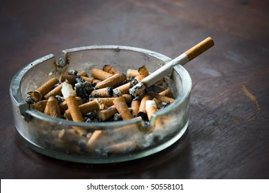 B68C9FBF AE59 4308 A641 D583261D907B.webp