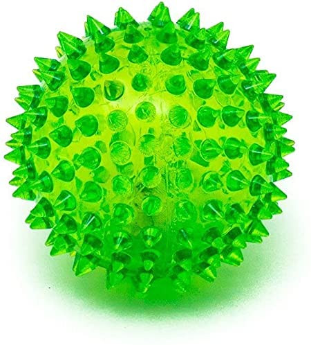 51nG fkzp L. AC .jpg