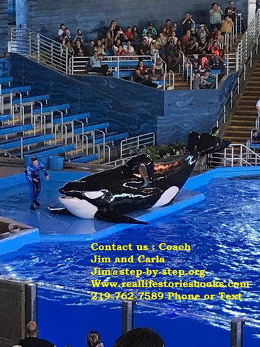 Evangelism Resources.jpg