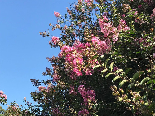 276011861 514944930026998 6629788125216983386 n.jpg