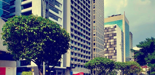 276312429 1298399450670571 4494921910224670322 n (2).jpg