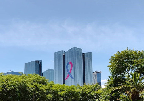 255773555 388276126377658 892124041933406125 n (2).jpg