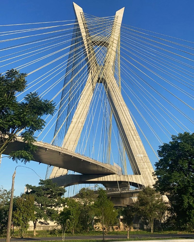 258058403 3024527744531893 5213883312715130779 n.jpg