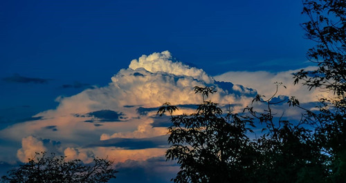 187586505 312613836927031 1208965280332535088 n (2).jpg