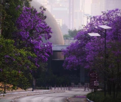 174848169 781615132721006 887588392423695855 n (2).jpg