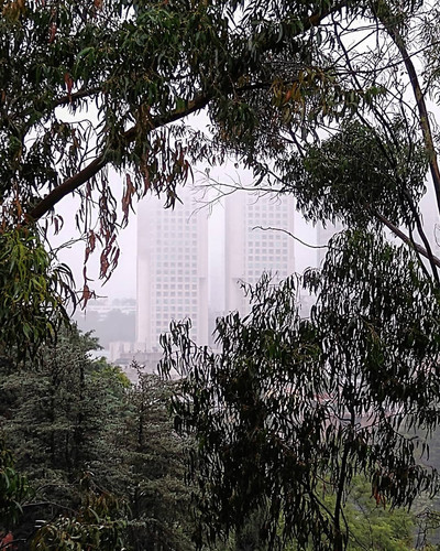 119652981 394948805238461 4186227083277843322 n.jpg