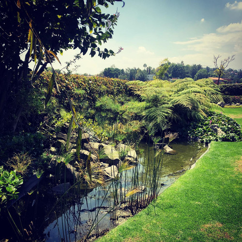 120046206 343337553576497 3254253093735425912 n.jpg