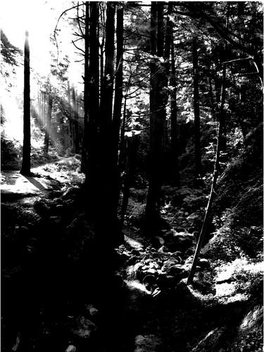 Screenshot 2022 03 27 7.05.11 PM.png