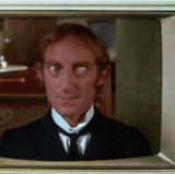 1uIleBIk2BeL (1).gif