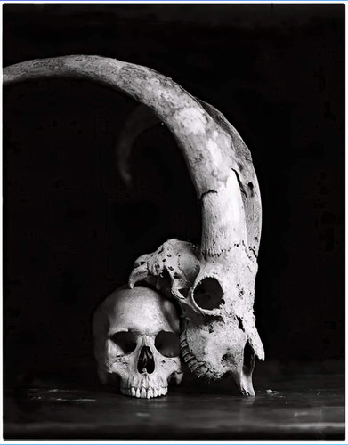 beautify picture (1).avif1(1).jpg