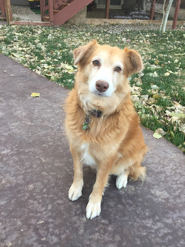 0F097AB2 4998 4B52 83A3 D78C241B1D2D.jpg