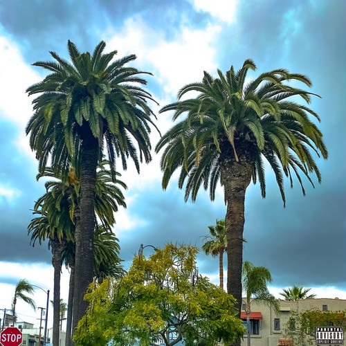 FA40E56F 0C27 4E74 9139 955E91048F2D.jpg