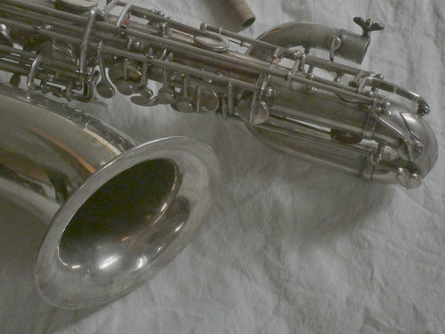 P1080050.jpg