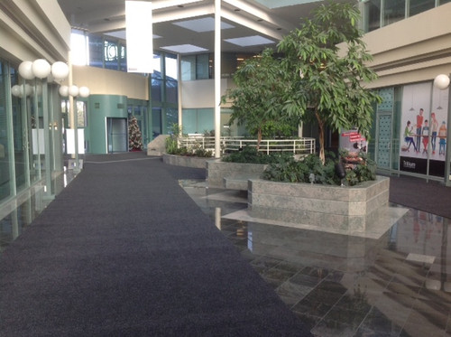 108 Everest App 675 Cochrane (4).jpg