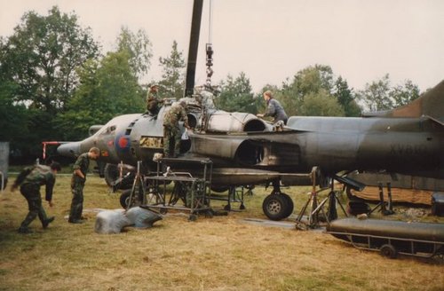Harrier.jpg