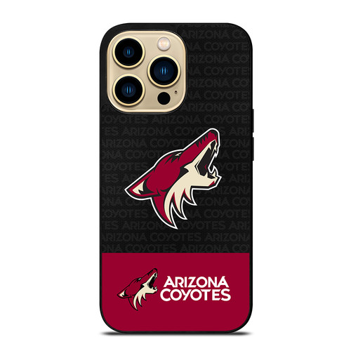 ARIZONA COYOTES SYMBOL.jpg