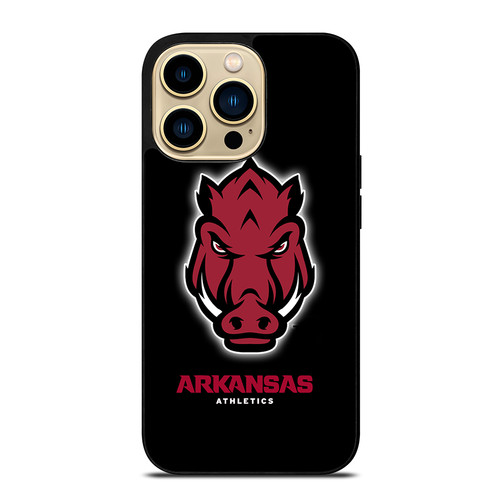 ARKANSAS RAZORBACKS ICON.jpg