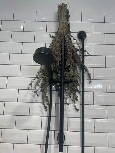 eucalyptus 2.jpg