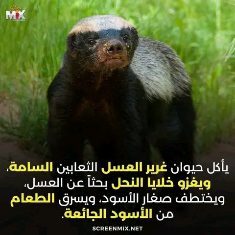 FB IMG 16746295507354835.jpg