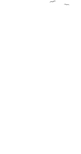 cloud left.webp
