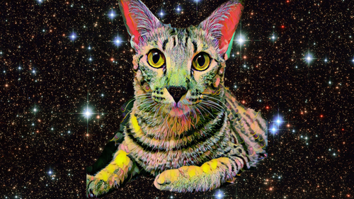 1674848096434.png