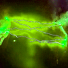 ezgif 2 ffc98a5417.gif