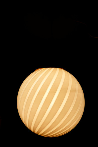 P1040379a.jpg
