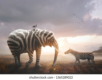 surreal image african elephant wearing 260nw 1365289022.webp