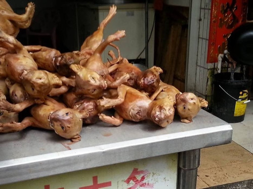 Cat meat 2.jpg