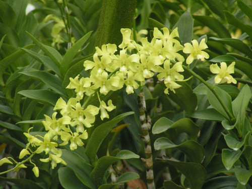 arredang e1516602380847.jpg