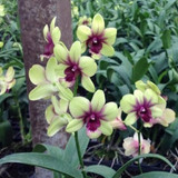 2017 05 12 PHOTO 00001748