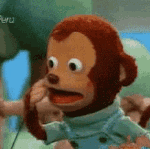 oh omg.gif