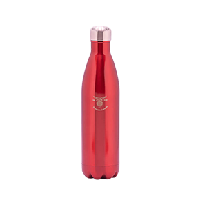 Top Wholesale Stainless Steel Vacuum Bottle Supplier online: Eagle Consumer.png