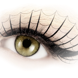 png goz forumgazel com (9).2