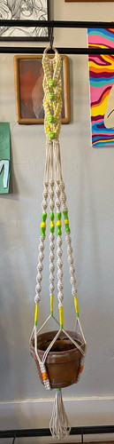 Berry Knotty braids.1