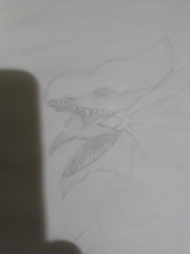 20230124 195010.1