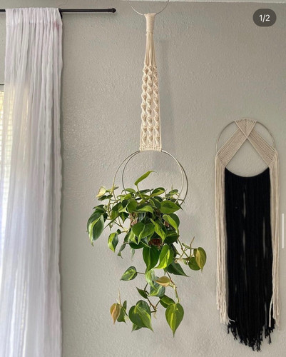knotty hoops.1